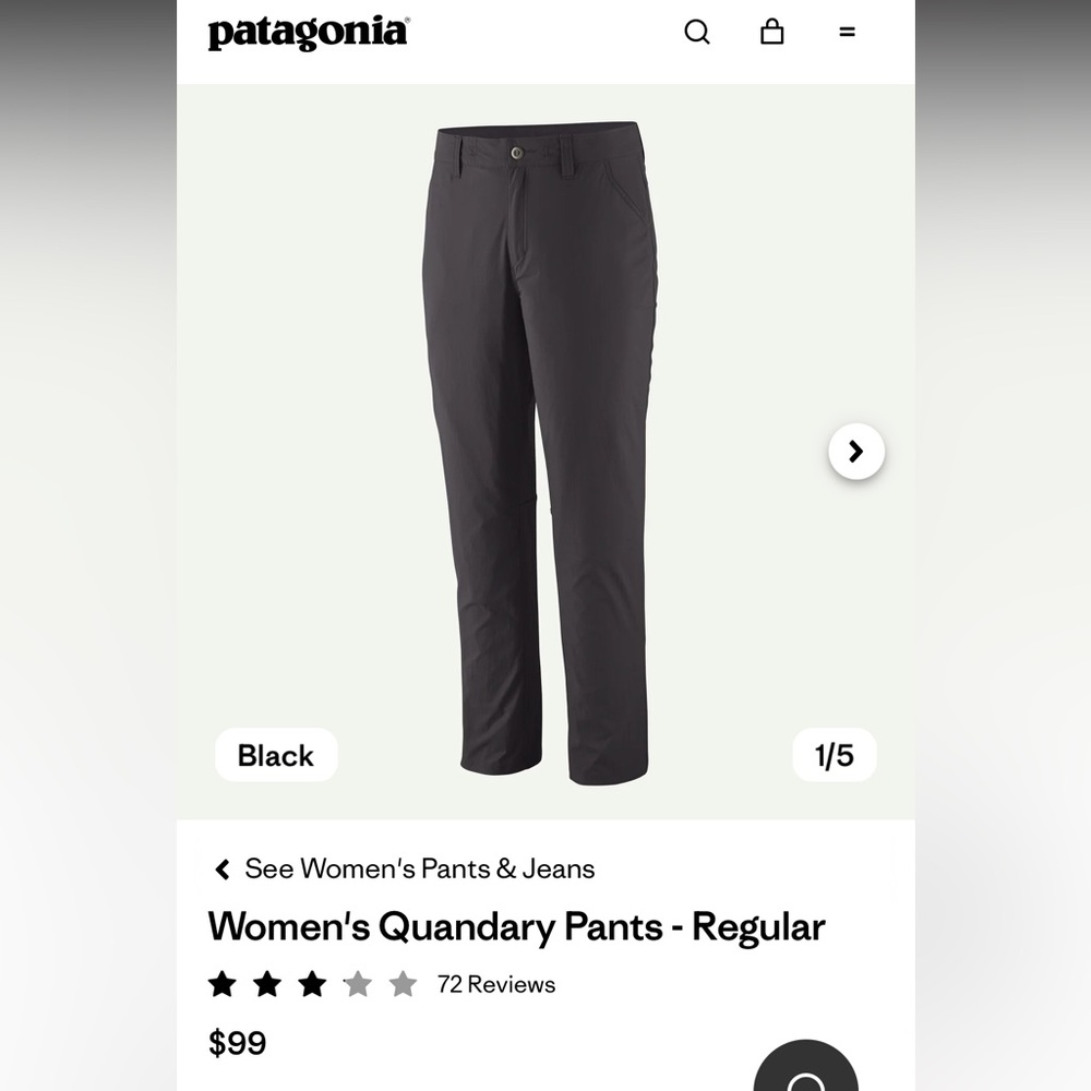 Patagonia Black Women's Quandary Pants